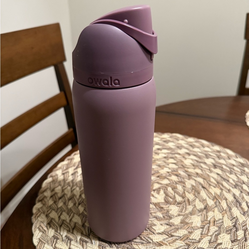 Owala 32 oz. FreeSip Stainless Steel Water Bottle